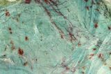 Polished Fuchsite Chert (Dragon Stone) Slab - Australia #160345-1
